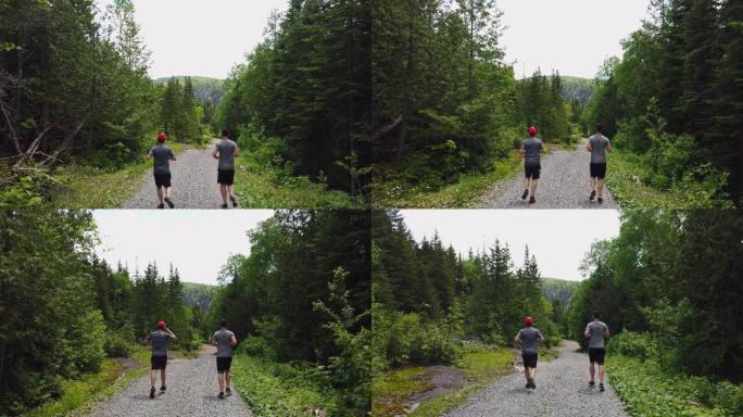 男子在森林中奔跑运动健身锻炼有氧慢跑越野