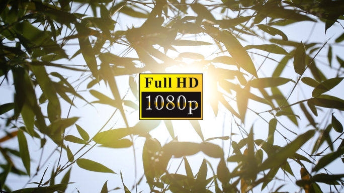 竹叶逆光【1080P】