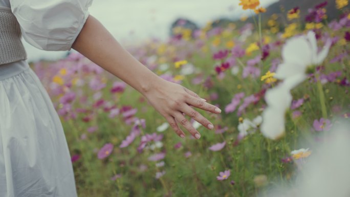 女人的手触摸着田野里的花