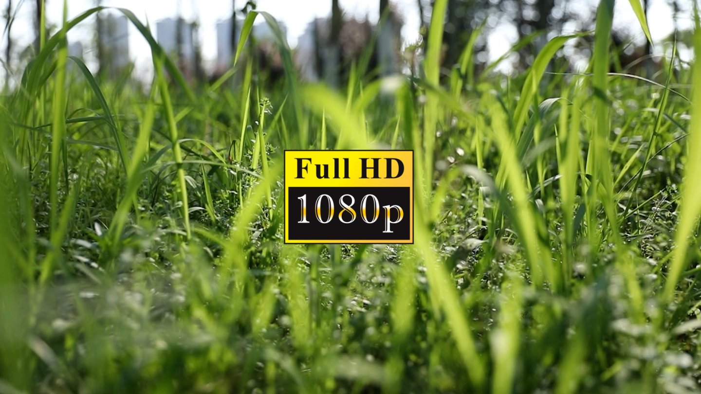 草地升格【1080P】