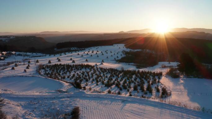 雪村日出