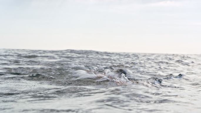 女子公开水域游泳运动员在海里向前爬行