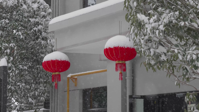 红灯笼 中国结 大雪纷飞的年味