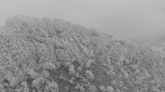 南川金佛山雪景