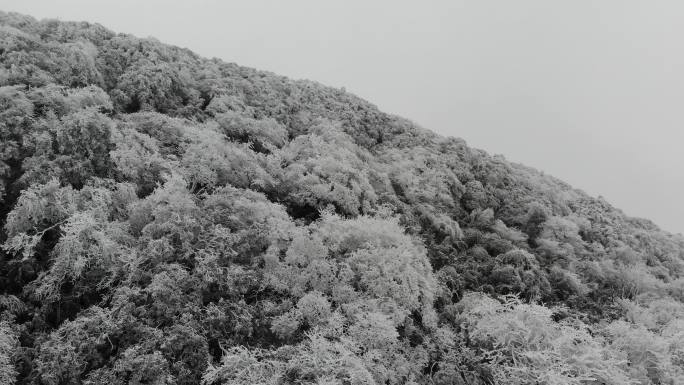 南川金佛山雪景