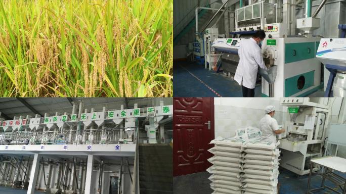 粮食生产、大米加工、稻谷、米、粮食