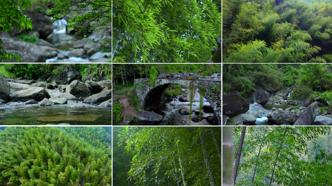 山间竹林 竹叶 溪流 山水 小桥流水