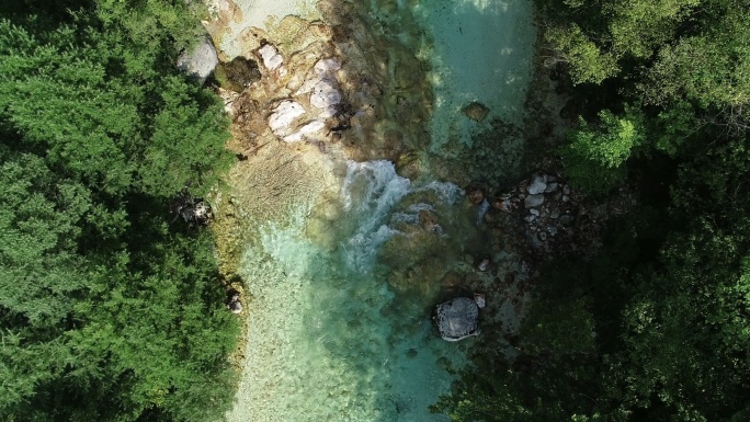 流经森林的洁净河流