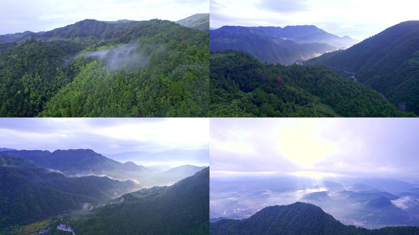 高山云雾、森林资源【4K】