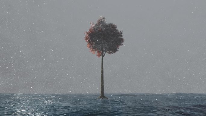 水面海面水海水雪树