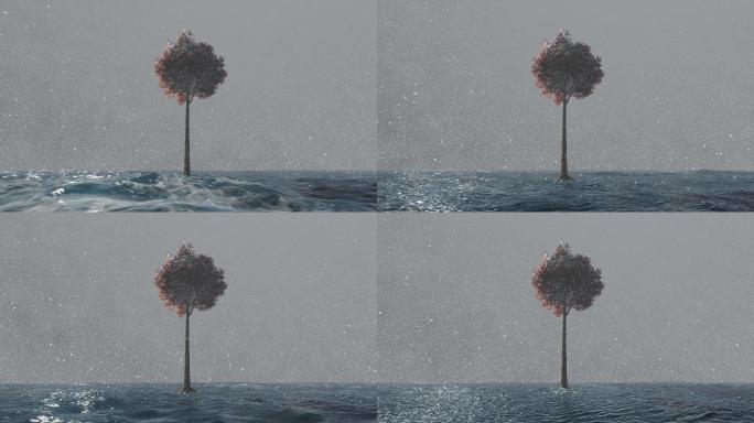 水面海面水海水雪树