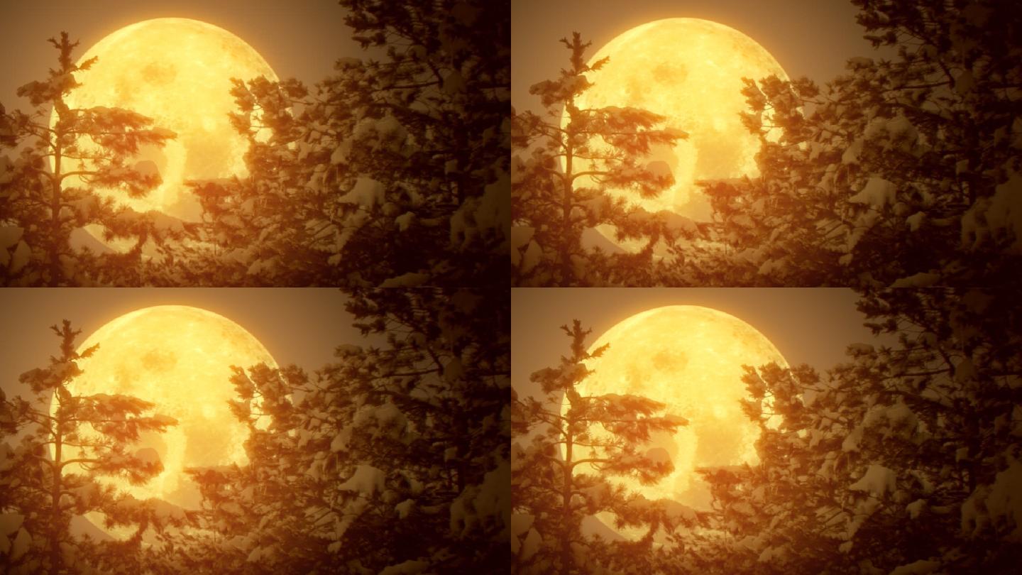 月亮和摇曳着雪的松树（可循环）
