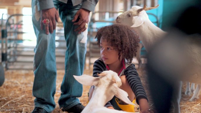 在谷仓里抱着山羊羔的女孩