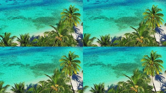 热带岛屿和棕榈树的无人机视图