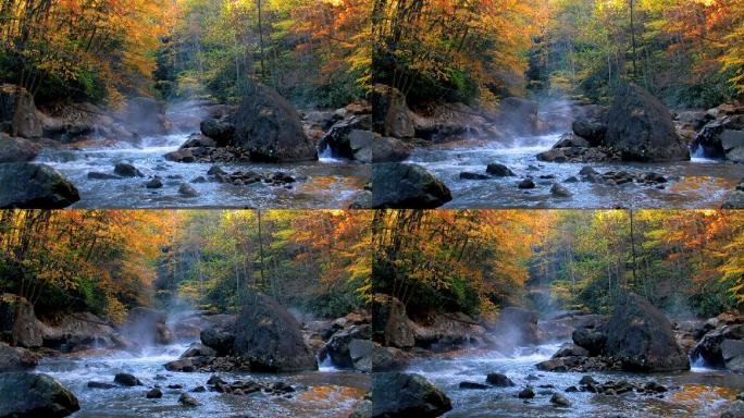 小溪和晨雾秋季秋景深秋枯黄枫叶枫林