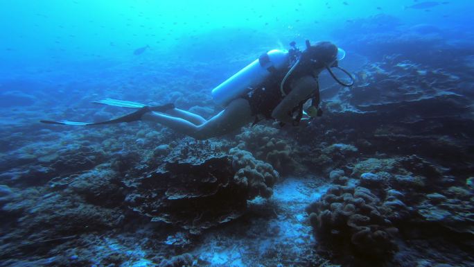 探索海洋深处年轻女人珊瑚礁鱼群