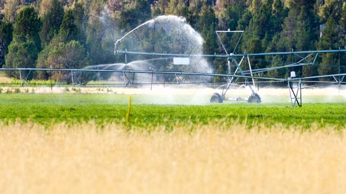 灌溉现代工业浇水自动喷水系统稻田