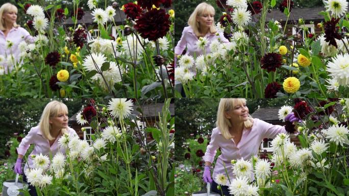 家里花园里女人浇花的慢镜头