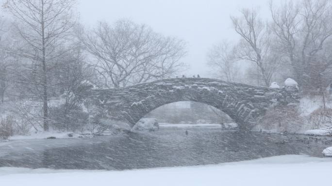 中央公园下雪国外外国大雪雪景雪中风景风光