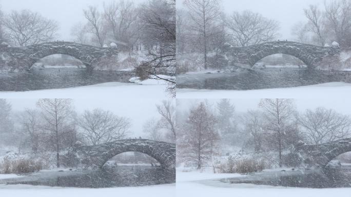 中央公园下雪国外外国大雪雪景雪中风景风光