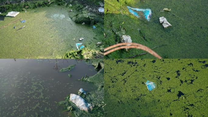 绿藻垃圾环境污染