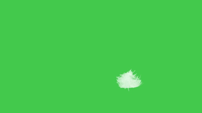 白色的羽毛在绿色的屏幕上
