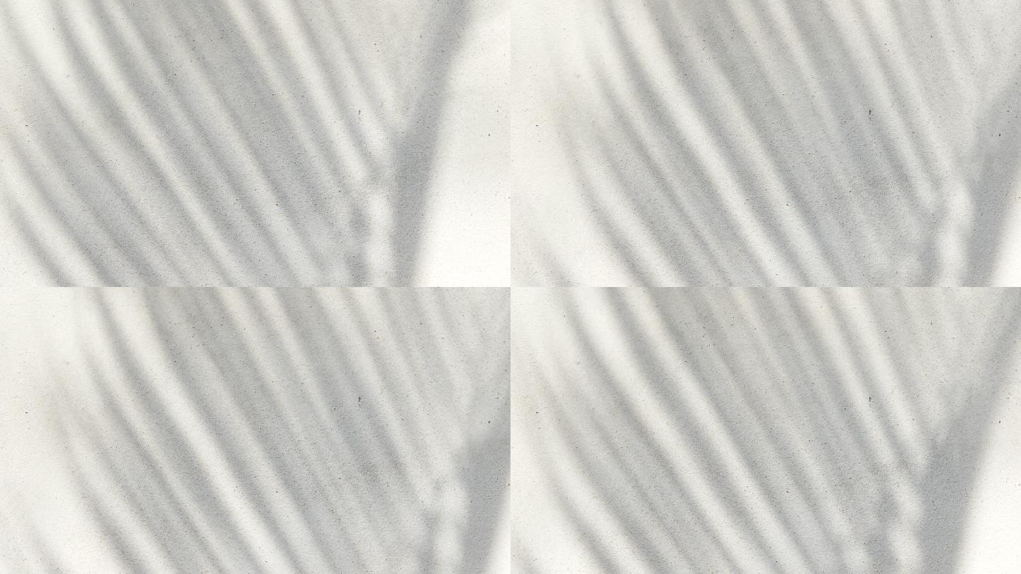 混凝土上棕榈叶阴影的抽象背景纹理