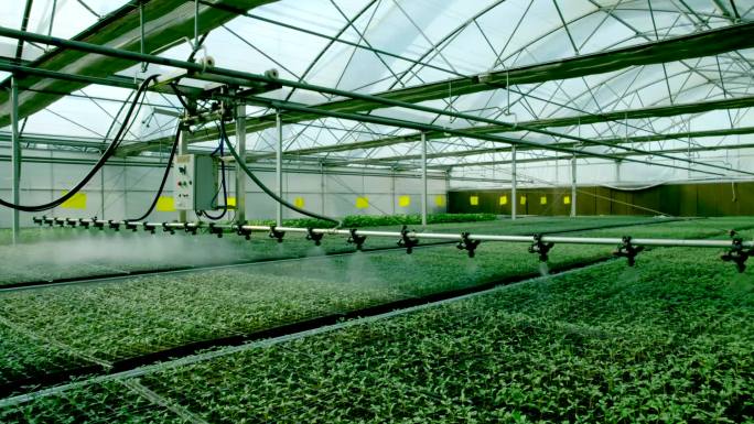农业温室大棚现代智慧有机蔬菜科学种植灌溉