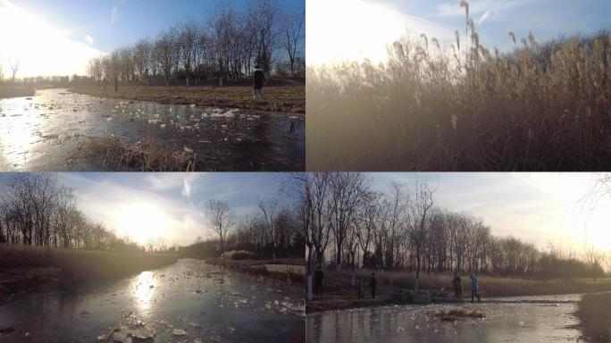 冬天的公园 芦苇小河结冰冰上玩耍