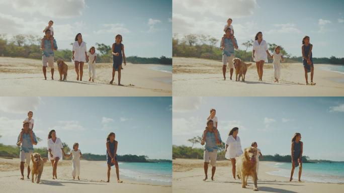 快乐的家庭和金毛寻回犬在海滩上散步