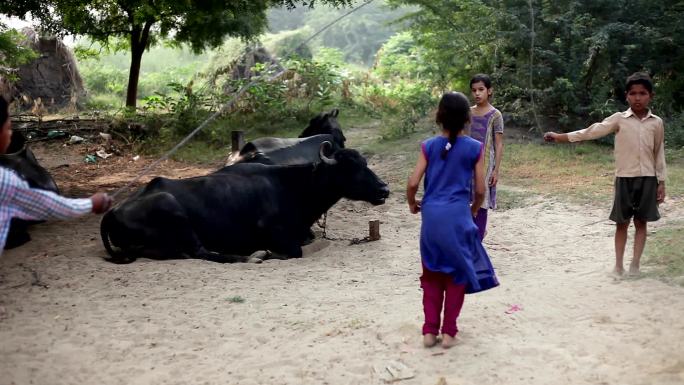 玩跳绳的孩子们农村留守儿童大黑牛
