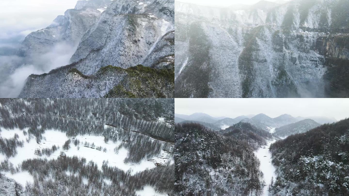 大雪后的雪山航拍  大山 林场 航拍