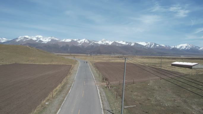 甘肃扁都口草原草地雪山羊群牧场蓝天公路