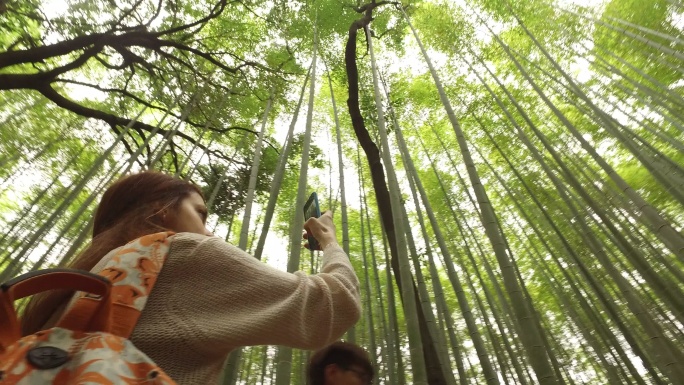 女游客探索荒山竹林