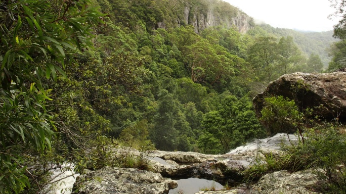 澳大利亚昆士兰亚热带雨林中的瀑布