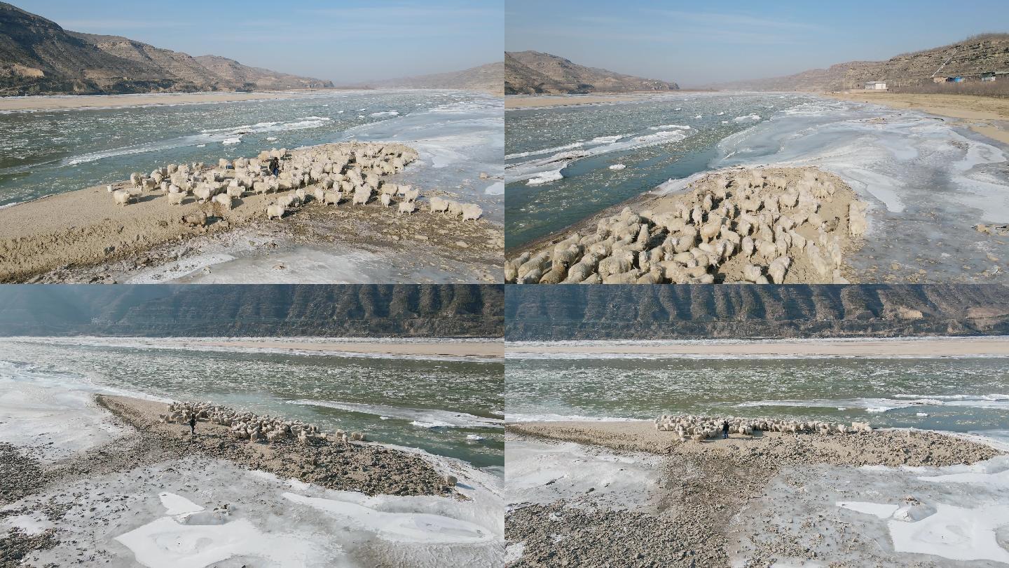 黄河冬季 放羊 航拍 4K 冰凌黄河峡谷