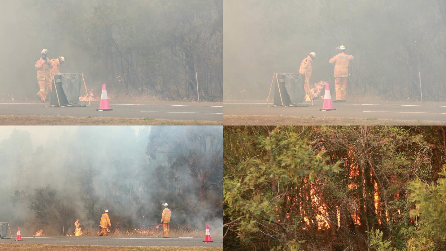 澳大利亚丛林大火。