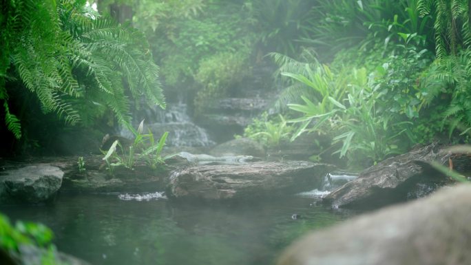 瀑布喷泉鱼池森林小河河流小溪夏天清凉一夏