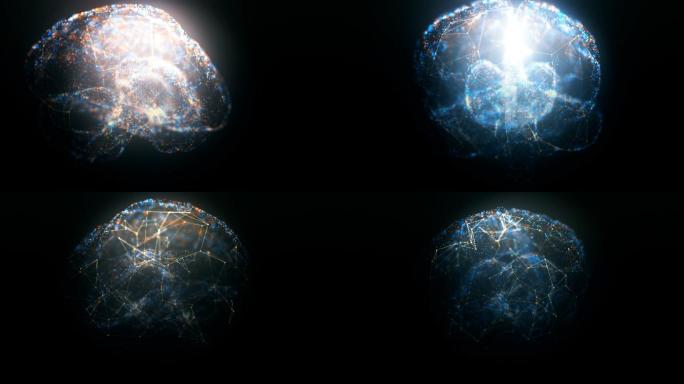 发光粒子对人脑进行旋转MRI扫描