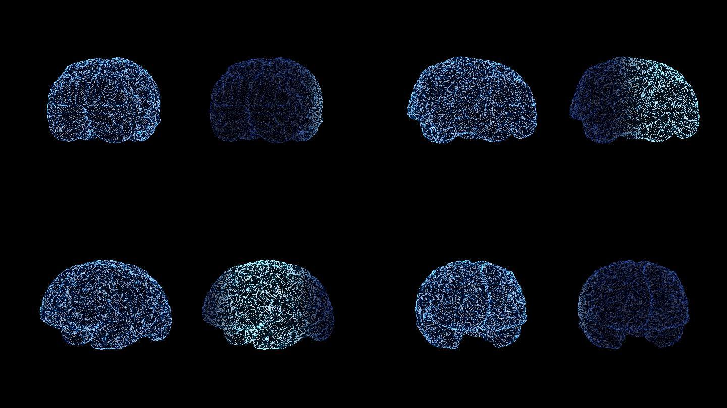 科技感全息大脑扫描
