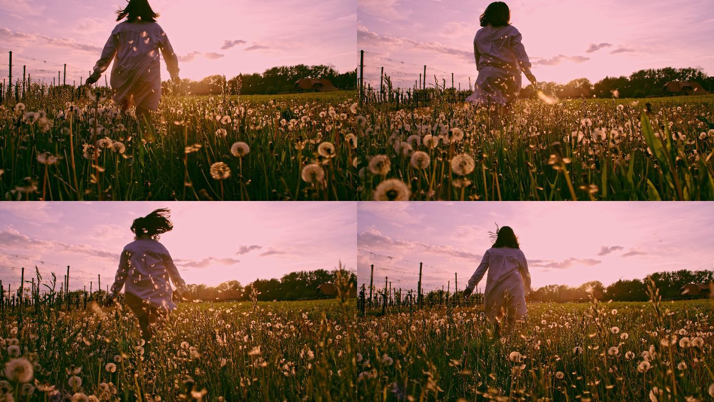 落日时分，一个年轻女孩在蒲公英丛中奔跑