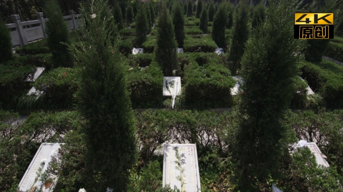 一江山岛战役纪念地、烈士陵园、墓地、松树