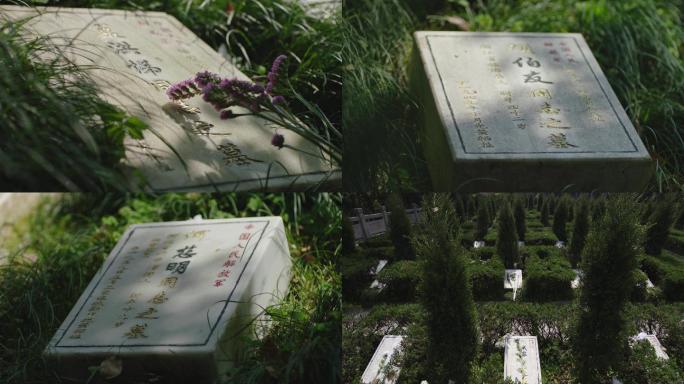 一江山岛战役纪念地、烈士陵园、墓地、松树