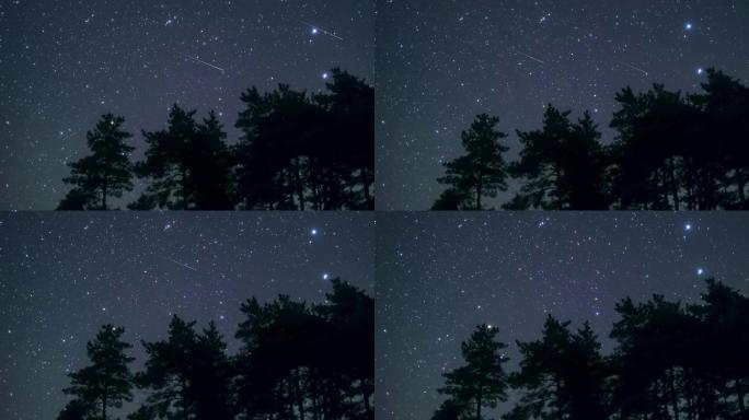 森林星空流星雨