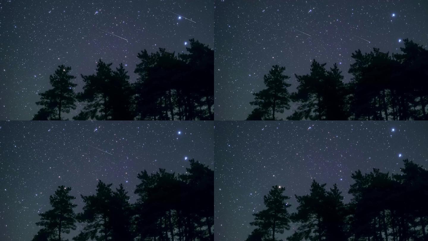 森林星空流星雨