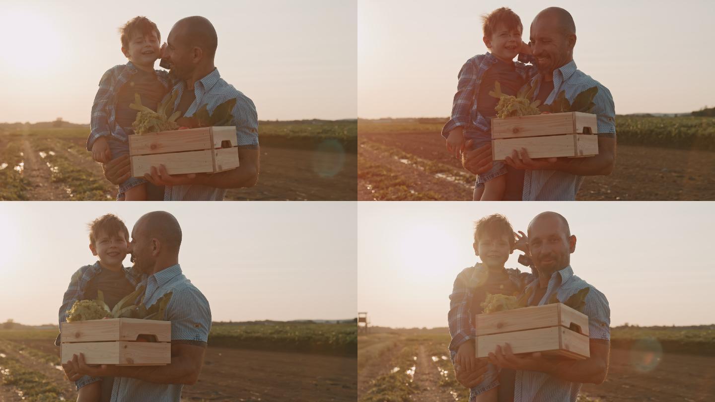 一对父子在田间采摘蔬菜时合影的慢镜头肖像