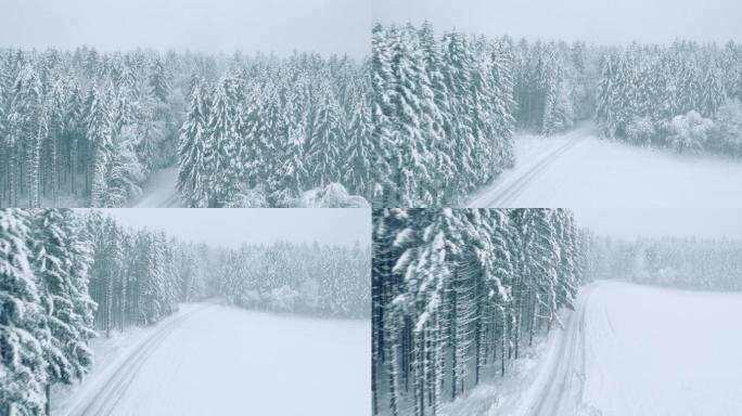 美丽的雪景杉树航拍针叶林大雪覆盖