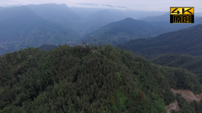 大山、青山、森林、树林、山林、航拍