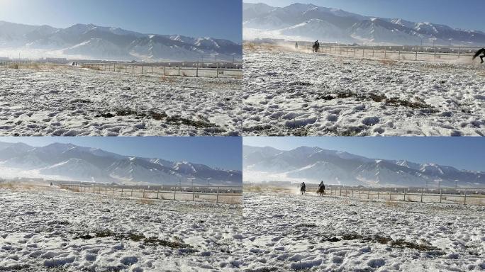 新疆巴里坤：哈萨克族风驰电掣速度雪地赛马