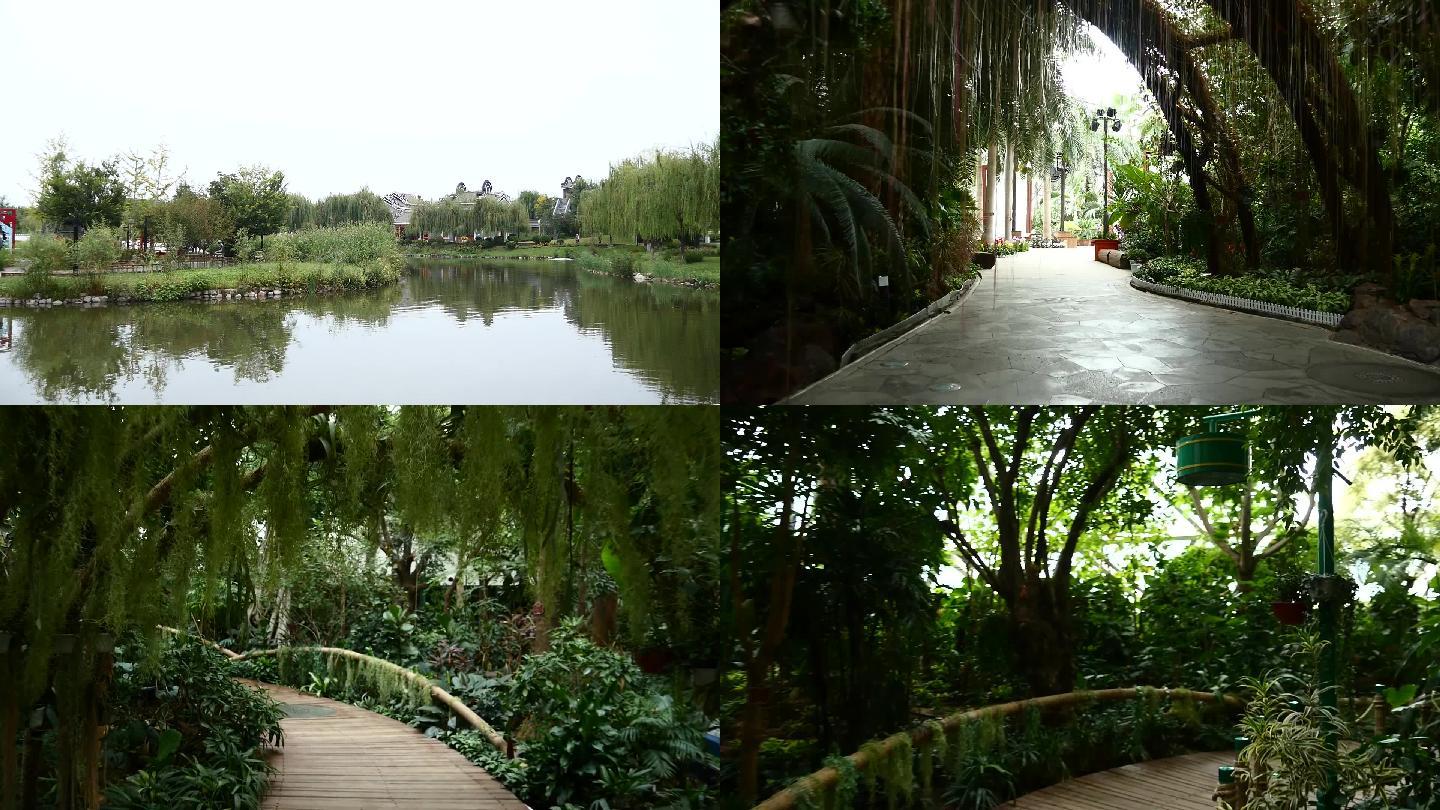 公园 花园 热带植物园